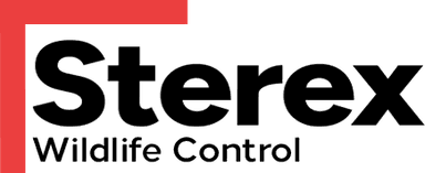 Sterex Wildlife Control