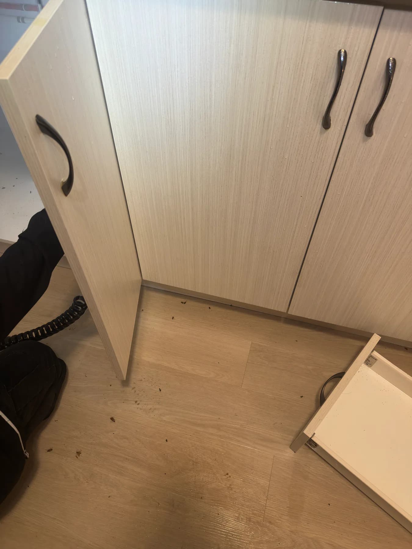 Cockroaches and pest debris on the floor around opened kitchen cabinets