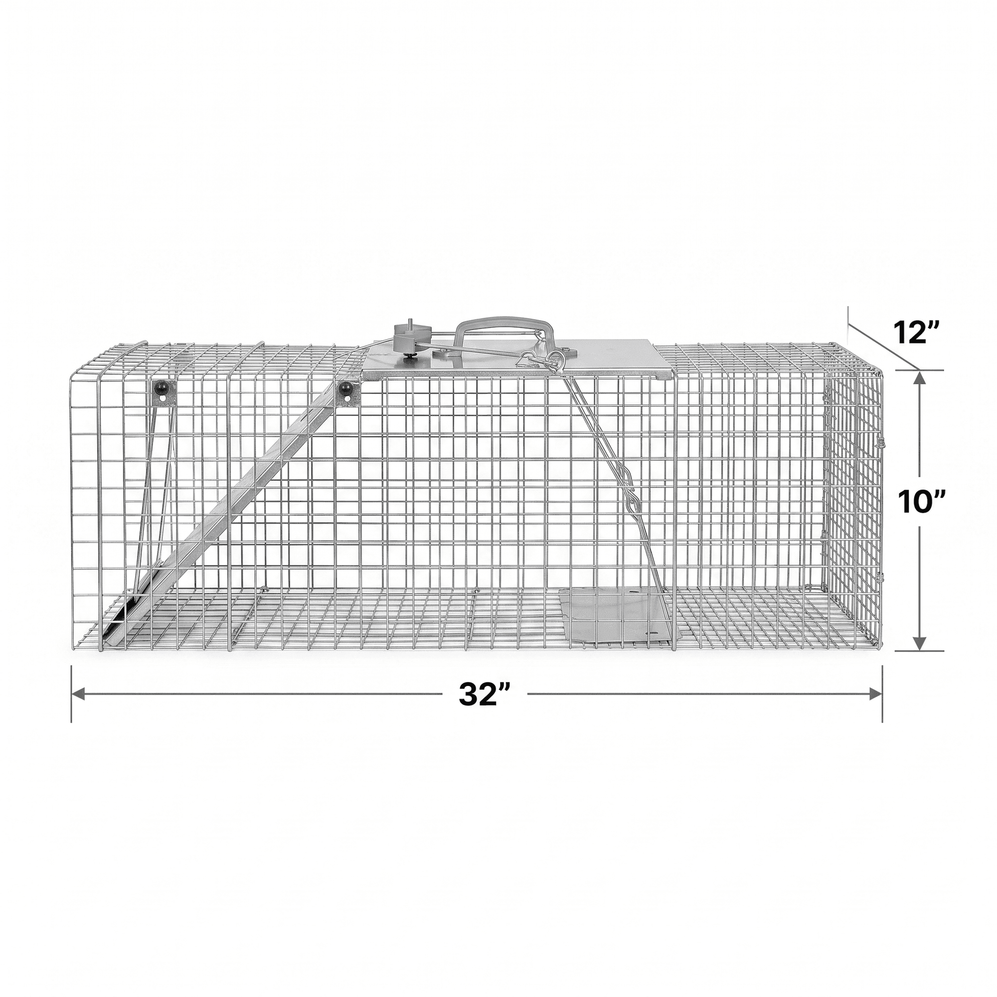 Live trap dimensions and wire mesh construction