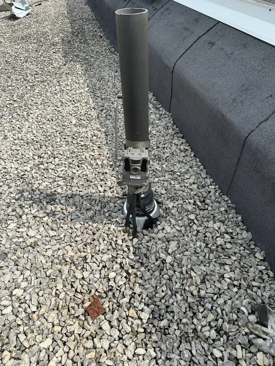 Close view of a trail camera mounted on a rooftop vent pipe for bird control monitoring