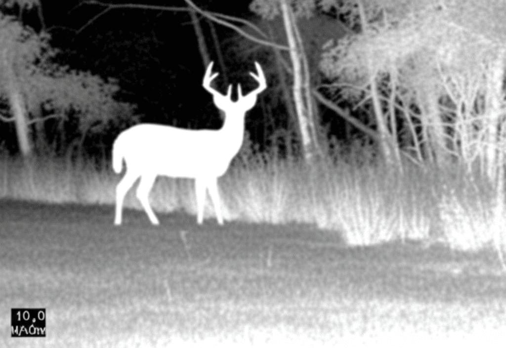 Thermal Imaging Camera