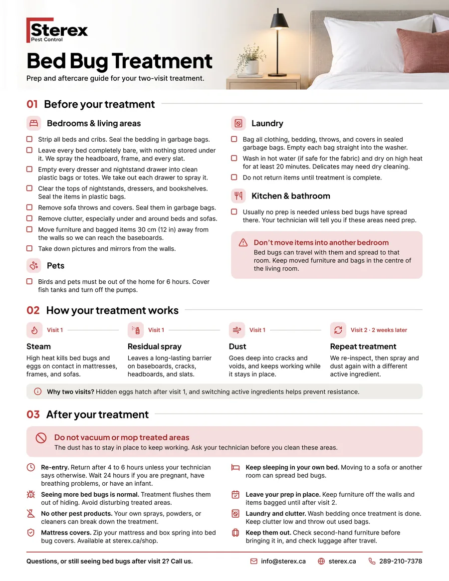 Preview of the Sterex bed bug treatment prep sheet