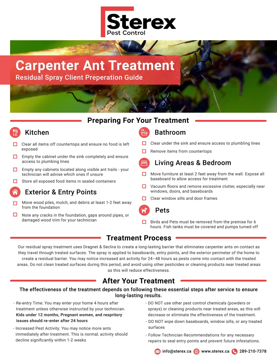 Preview of the Sterex carpenter ant treatment prep sheet