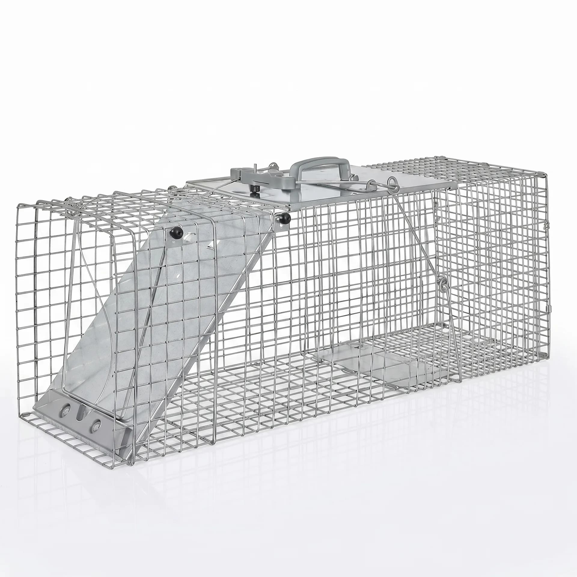 Professional raccoon live trap rental for GTA wildlife control