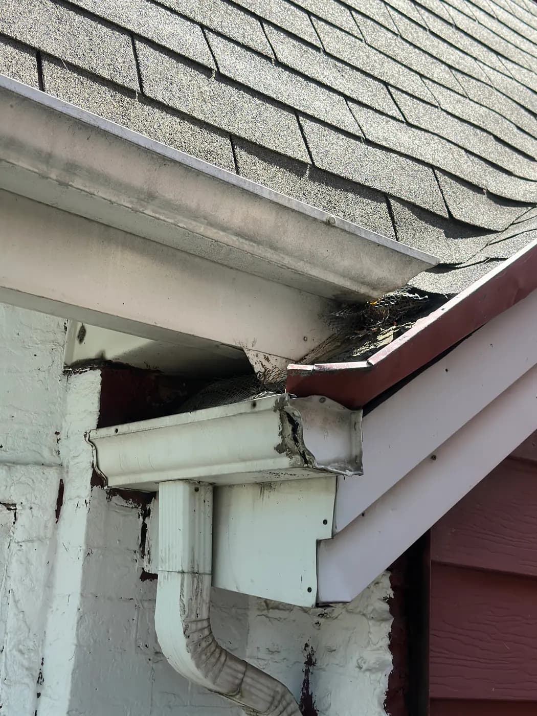 Missing soffit material and an open cavity beside a gutter and downspout