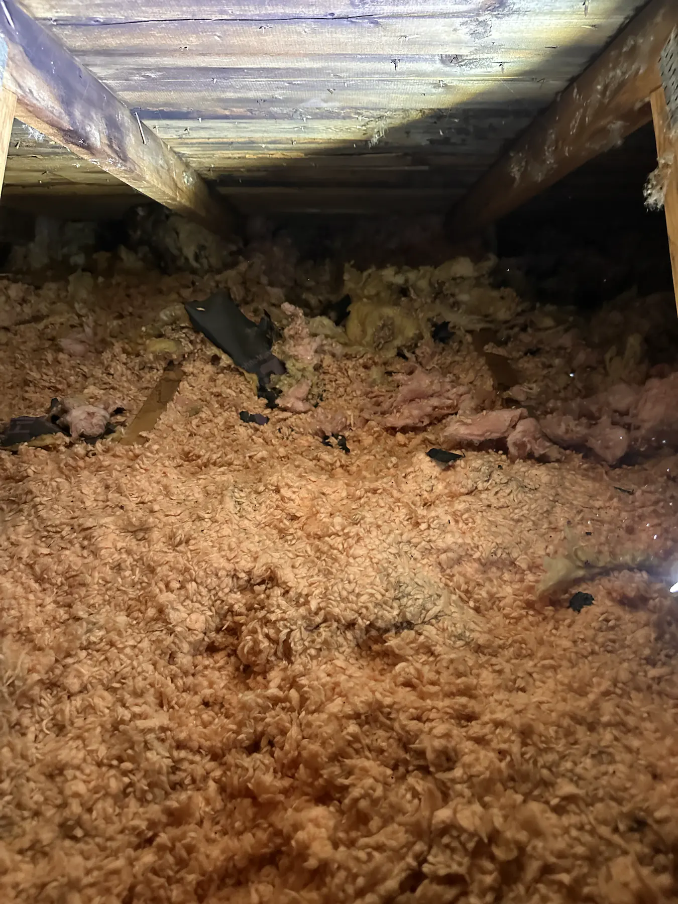 Disturbed attic insulation near a roof opening