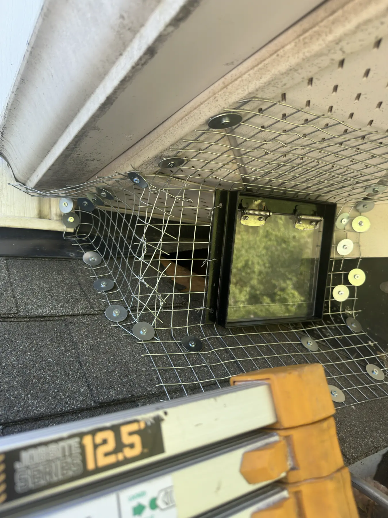 Wire one-way wildlife door secured around a square roof opening