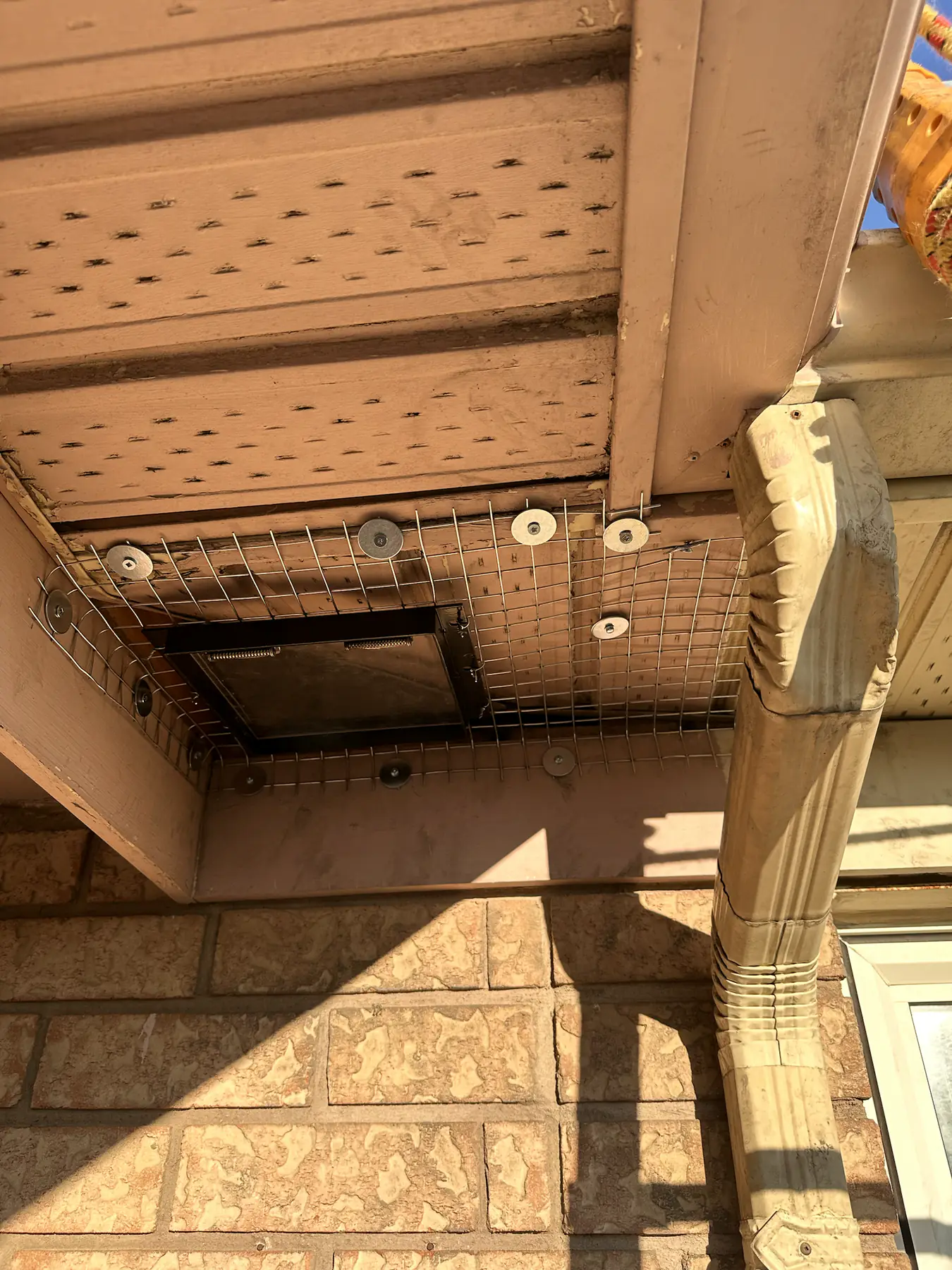 One-way wildlife exclusion device secured beneath an open eave cavity