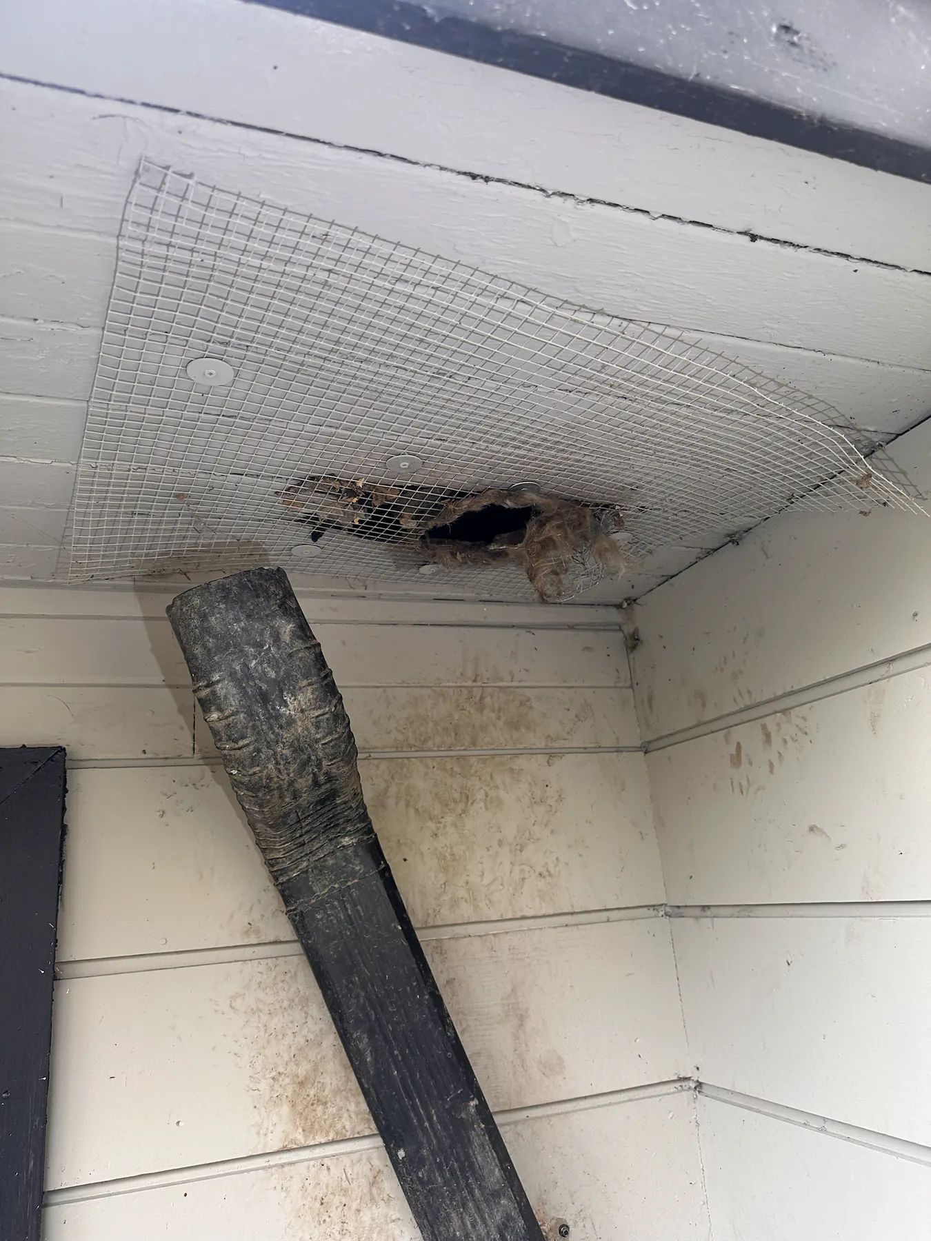 Open soffit cavity with a board positioned beneath the entry gap