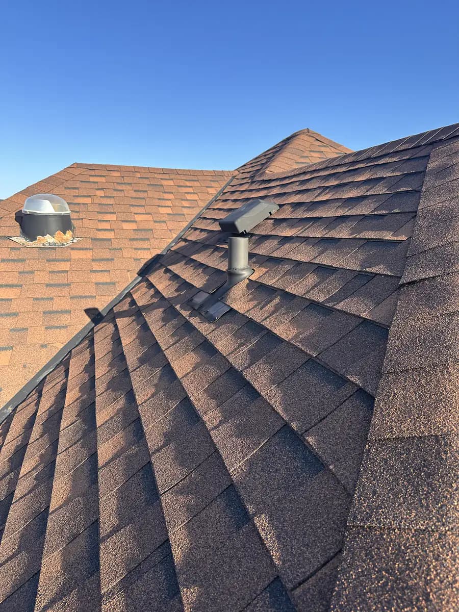Residential rooftop viewed during a wildlife inspection