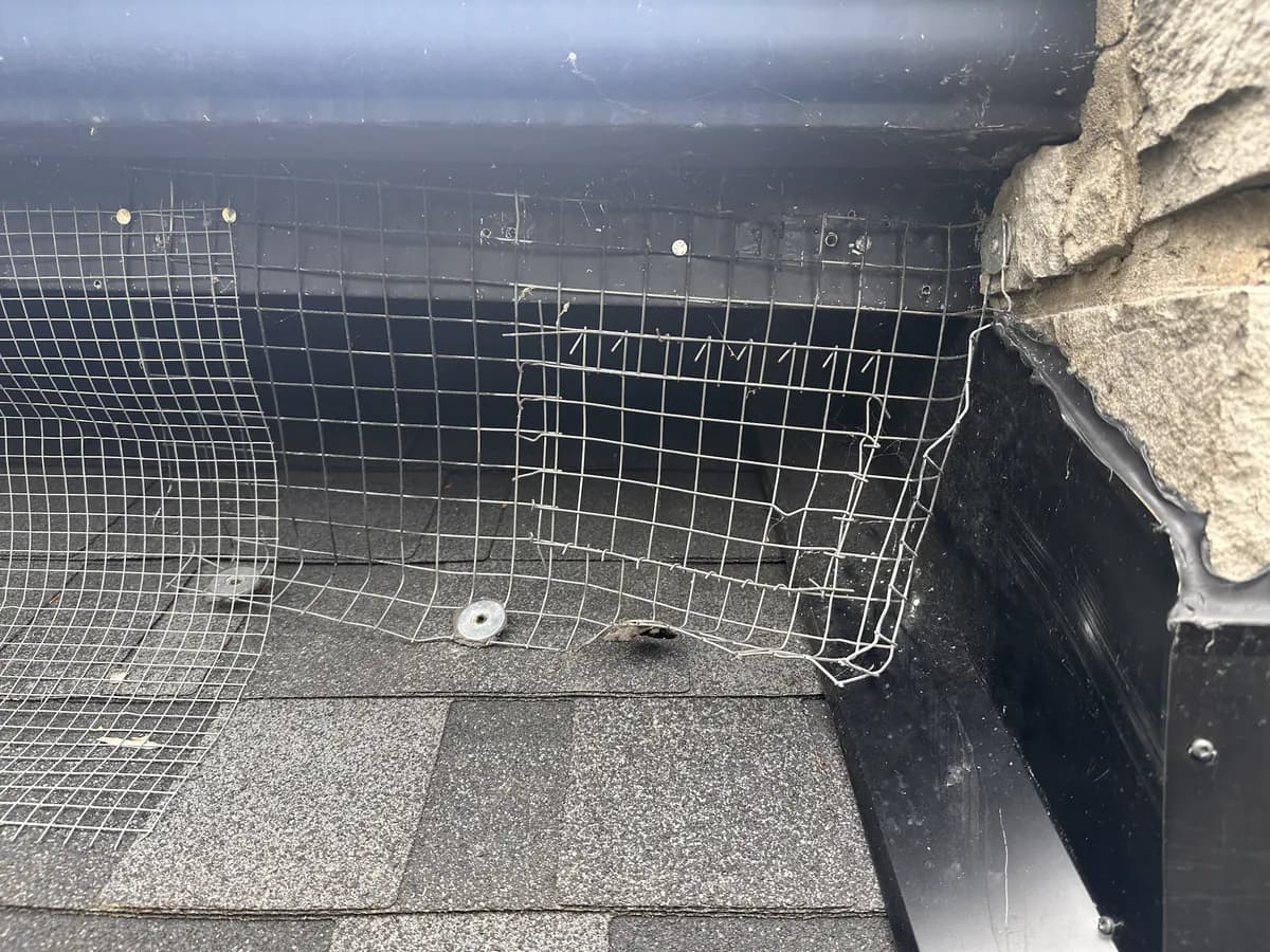 Wire exclusion mesh secured around a roof corner beside stone cladding
