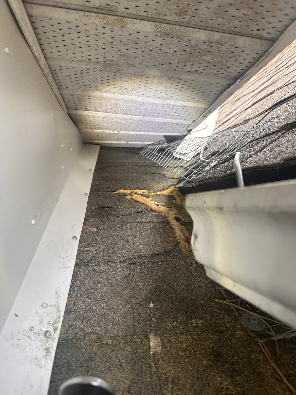 Open gap beneath metal flashing at the edge of a shingled roof