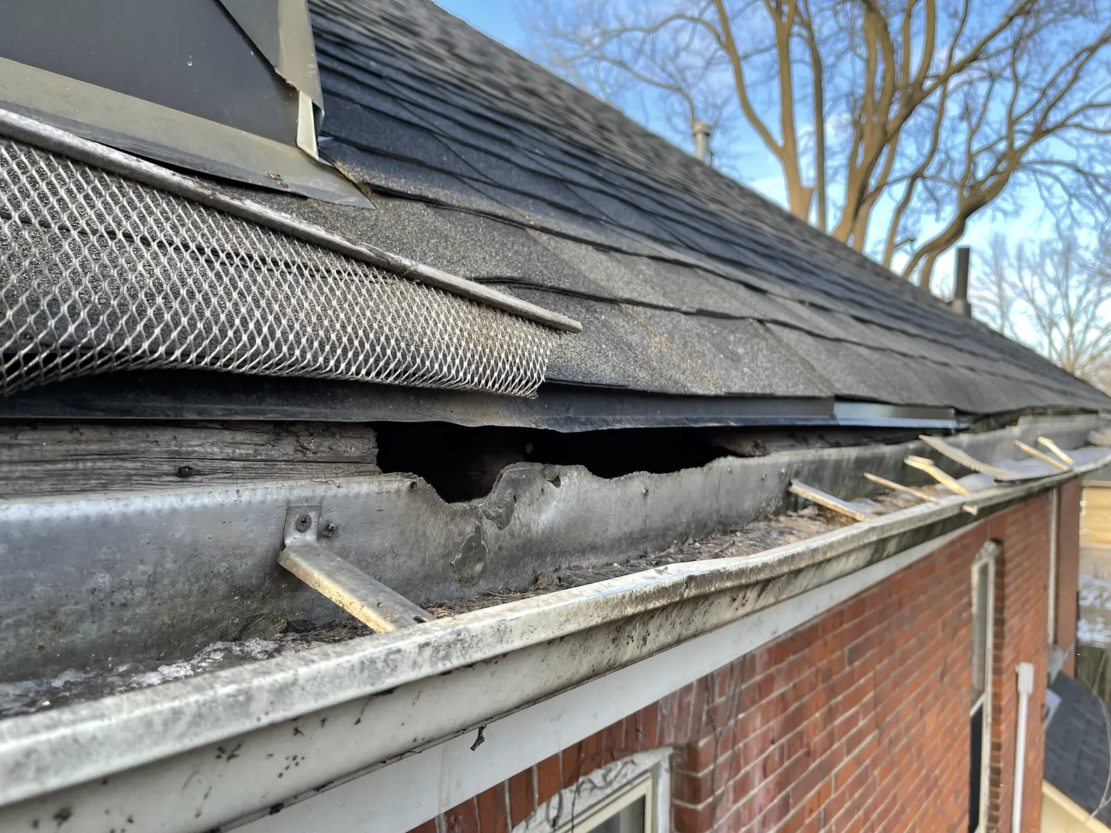 Metal wildlife-exclusion mesh fitted along a damaged roof edge above a gutter