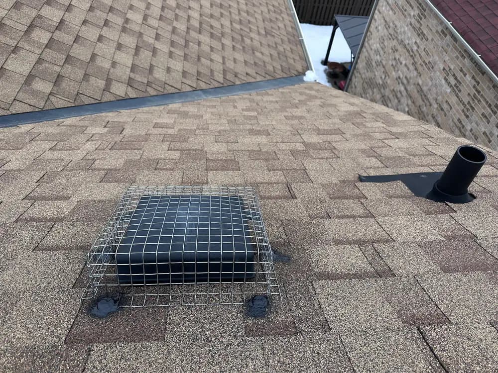 Black roof vent protected by a wire wildlife-exclusion cage on shingles