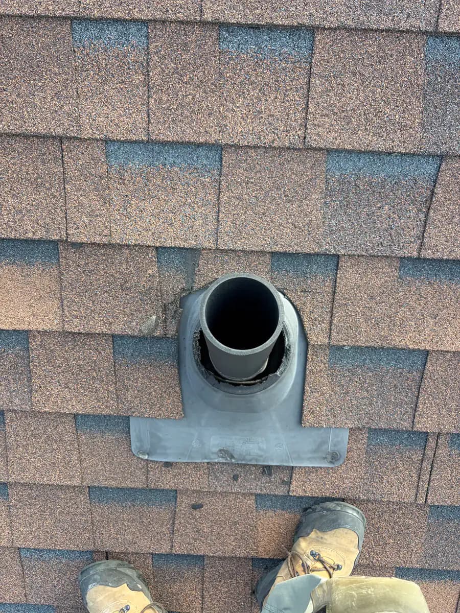 Plastic roof vent pipe with its rim and collar gnawed away by squirrels, seen from above on a shingled roof