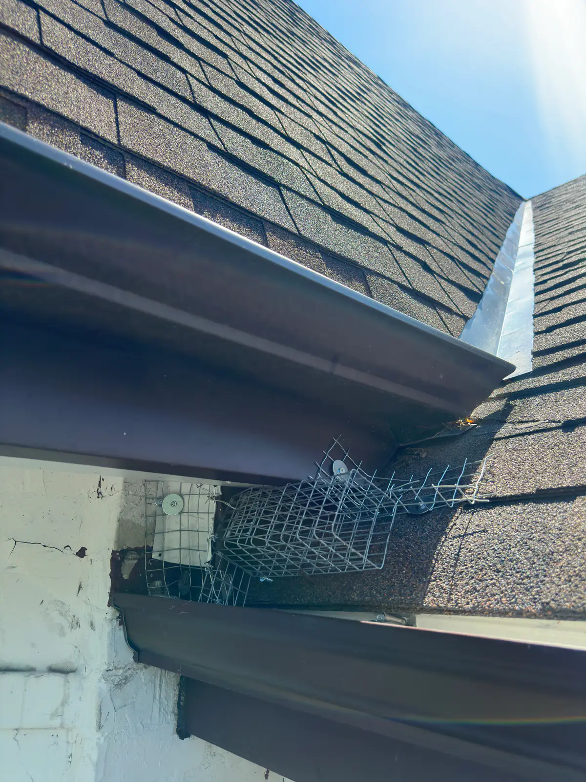 Wire wildlife-exclusion cage installed beneath a roof edge beside brickwork