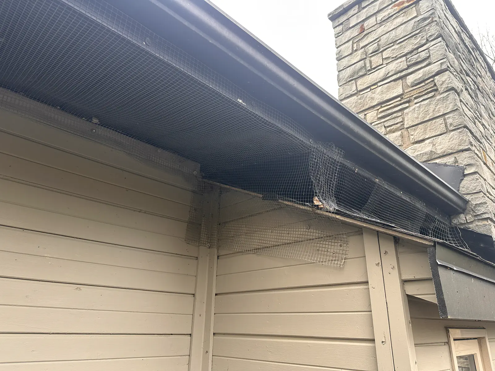 Long section of metal wildlife-exclusion mesh installed along residential eaves