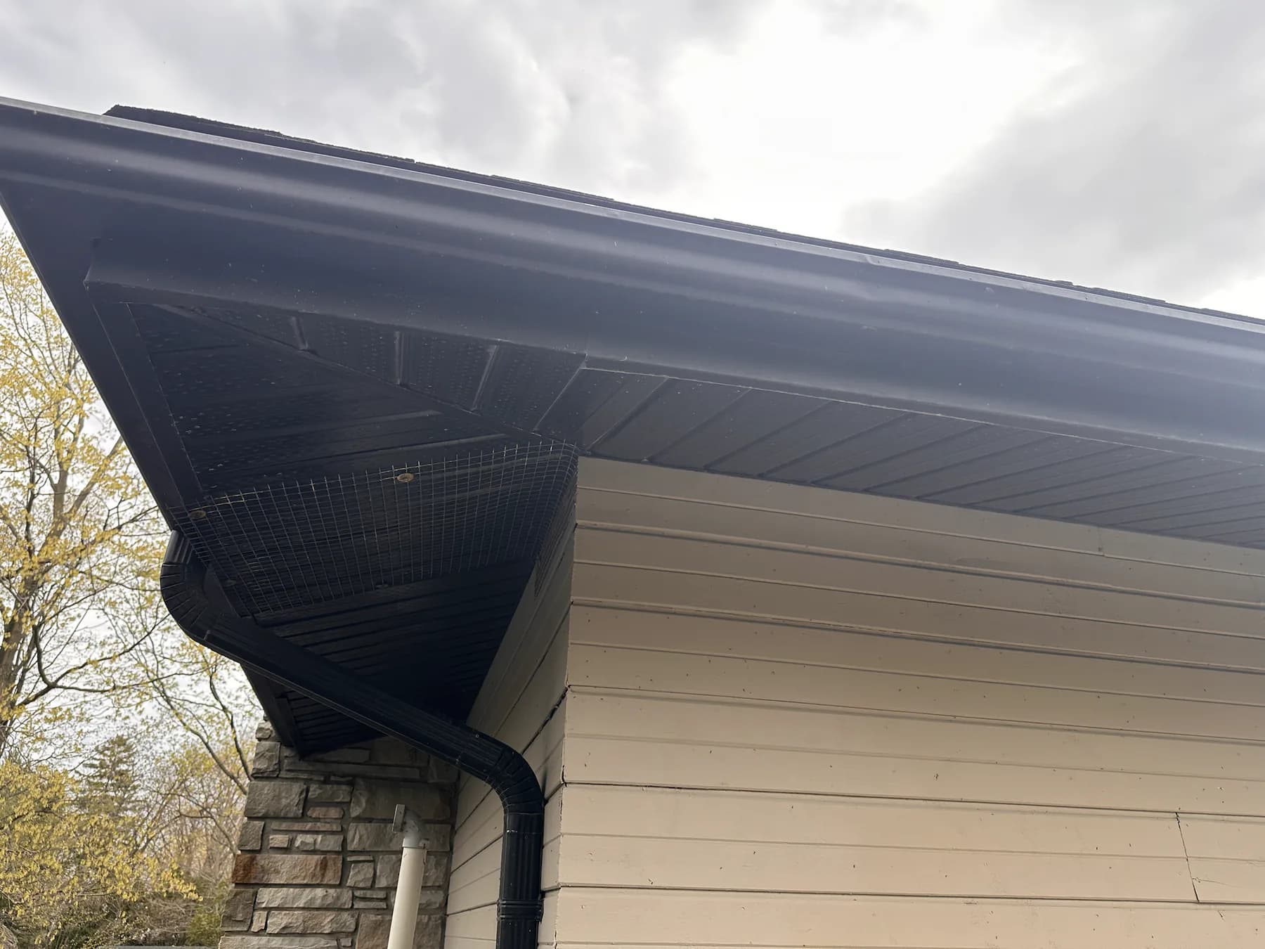 Metal wildlife-exclusion mesh fitted beneath eaves around a downspout